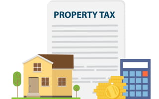 County Auditor's Offices